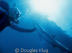 Touch. 
An old capture from the mid 1990's using my old ... by Douglas Klug 